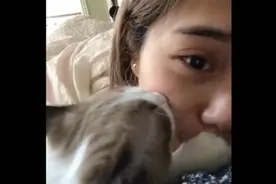 超有爱，喵星人狂亲女主人~视频封面