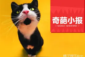 得知同学当老板小伙瘦10斤 表演一口吞汉堡小伙玩大了图片