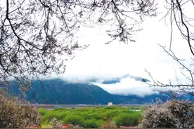 无需三生三世 即赏三月桃花图片
