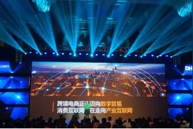 王树彤：B2B是跨境电商唯一出路 四副药方专治“转型难”图片