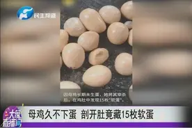 母鸡久不下蛋 剖开肚竟藏15枚软蛋视频封面