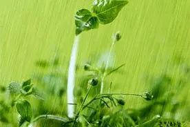 南昌夜来听风雨，花落知多少图片