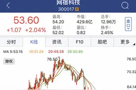 比尔·盖茨旗下基金加仓A股：网宿科技、小天鹅齐获增持图片