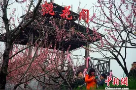 湖南灰汤温泉桃花开 市民赏花泡泉图片