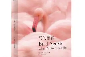 【新书推荐】春暖花开 九本新书陪你度过新一周图片
