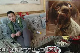 河北易县的方言究竟有多搞笑？河北小伙教东北媳妇说方言，太逗了视频封面