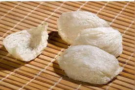 马来西亚燕窝被禁止入境？快来看看图片