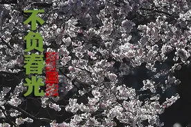 春分出游 不负大好春光图片