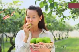 走遍台湾系列（07）十分用心成就台湾翡翠青枣牛奶枣地道好品质视频封面
