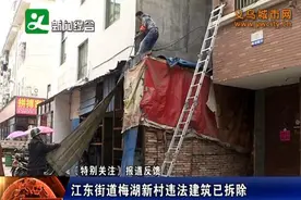 江东街道梅湖新村违法建筑已拆除图片