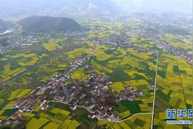 2017中国最美油菜花海汉中旅游文化节拉开帷幕图片