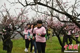 福建建宁“花海跑” 跑友花间享春光图片