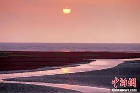 红海之秋——辽宁盘锦图片