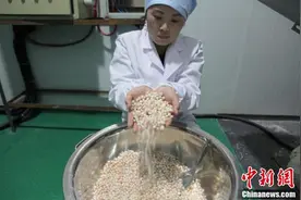 探访中国淡水珍珠之乡江西万年的秘密图片