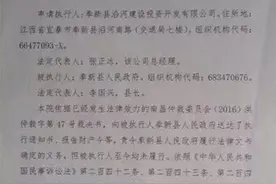 江西奉新县政府为啥成“老赖”？陷入涉案逾3亿合同纠纷案图片