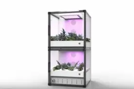 在家用手机APP种地，这才是最逆天的农业科技视频封面