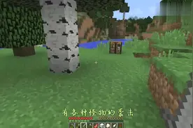 我的世界：新手玩家6大生存法则，全知道的都是大神！视频封面
