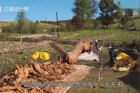 烟草纳税万亿，一包20元香烟利润有多少？说出来你可能不相信