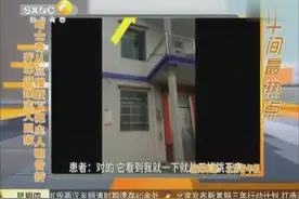 哈士奇迎接主人回家 从三楼跃下把主人砸晕视频封面