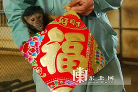 动物园金猴晒出年夜饭 持福字拜年图片