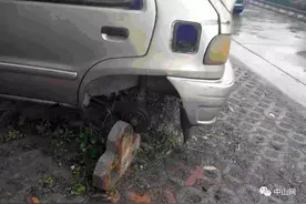 提价了！下月起在中山举报这种车，一单最高奖500元图片