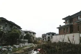 南京阳明山庄杂草丛生 水电气不通 高档别墅区烂尾7年业主无法入住图片