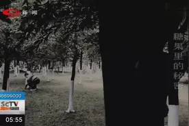 夜行者四处挖地洞，藏着五颜六色小糖果，还牵出特大犯罪团伙？视频封面