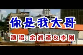 一首《你是我大哥》超级好听视频封面