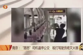 路怒司机逼停公交，不仅殴打，还是用喷灭火器喷驾驶员！视频封面