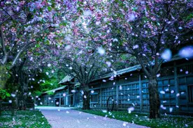 新歌！陈瑞最新一首《正好》悠扬动听，超级好听！视频封面