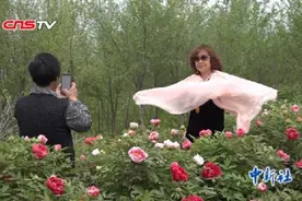 洛阳1800亩高山牡丹盛放 女皇“武则天”穿越赏花图片