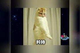 最新的地铁摸手结局竟然…-每日一囧视频封面