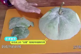 冬瓜皮上的“白霜”有保护和保鲜作用，但千万不要食用！视频封面