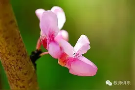 余映潮：研究名师，发展自己图片