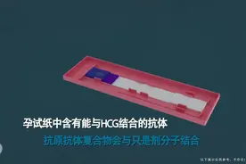 3D动画 验孕棒的使用，你会用了吗视频封面