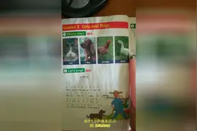 冀教小英三下-Lesson 2 Cats and Dogs(标准英音+中文翻译)图片