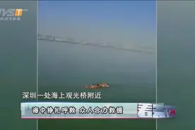 女子一时想不开跳海轻生，海中挣扎呼救，众人合力救援视频封面