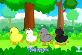 太逗了！小鸭子妈妈教小鸭子学游泳，嬉闹游戏的场面太萌了！视频封面