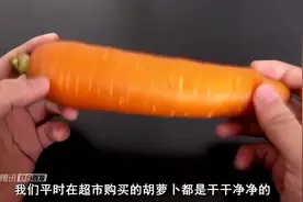 菜市场卖的胡萝卜为什么这么干净，看完你还敢吃吗后悔才知道视频封面