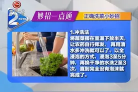 妙招一点通：正确洗菜小妙招视频封面
