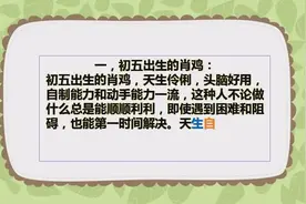 哪天出生的肖鸡，一生大富大贵，财运亨通视频封面