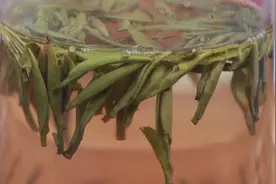 茶叶测评，特级君山银针和一级有什么区别，喝茶哪个性价比高？视频封面