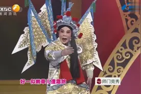 秦腔经典《五郎出家》选段 唐娜 名师高徒王新仓战队视频封面