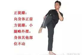 侧踹的技术和发力图片