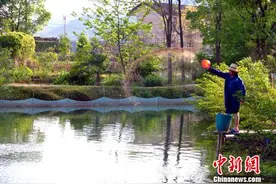 探访江西德兴山村里的特色“温泉经济”图片