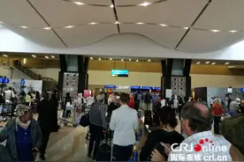 南非航空客舱服务人员罢工 南非国内多个航班取消图片