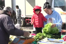 东北大龙：热闹的乡村集市，媳妇带着女儿买菜，会发生啥趣事？视频封面