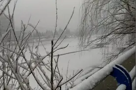 2019年东北农安的第一场大雪，落在树上的雪就像树挂一样美极了！视频封面