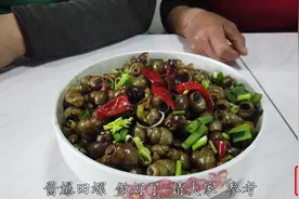 麻辣酱爆田螺，夹掉田螺的尾巴方便入味，两个人吃了一大盆视频封面