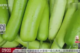 网传吃苦瓠子会中毒，这说法究竟是真是假？一起听听大家的看法